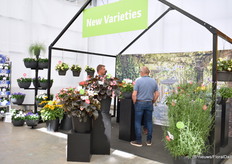 Ook een speciaal deel waar Benary hun nieuwe introducties presenteerde.